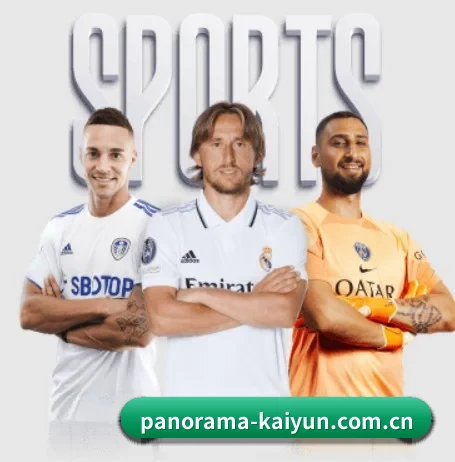 我们在做什么(kaiyun)